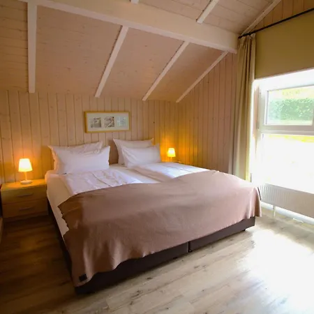 Lachmoewe * Bliesdorf