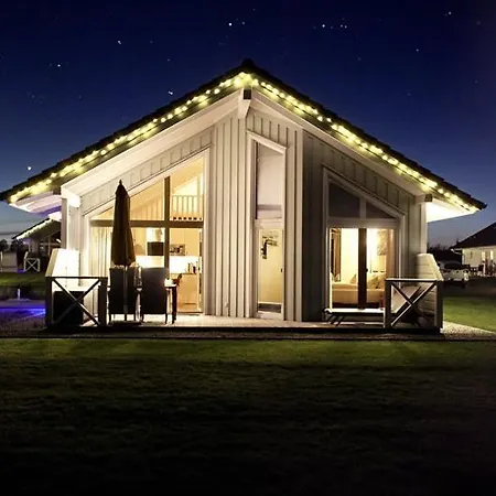 Lachmoewe * Bliesdorf