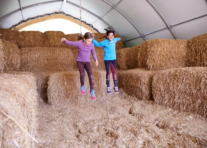 Semesterbostad Lachmoewe *