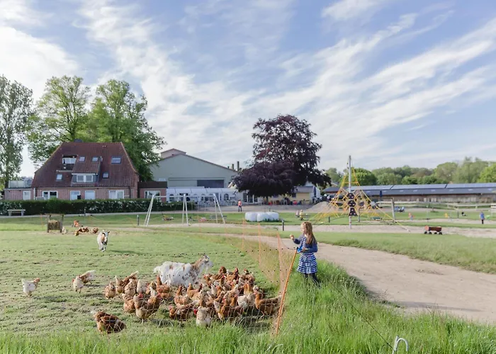 Lachmoewe * Bliesdorf